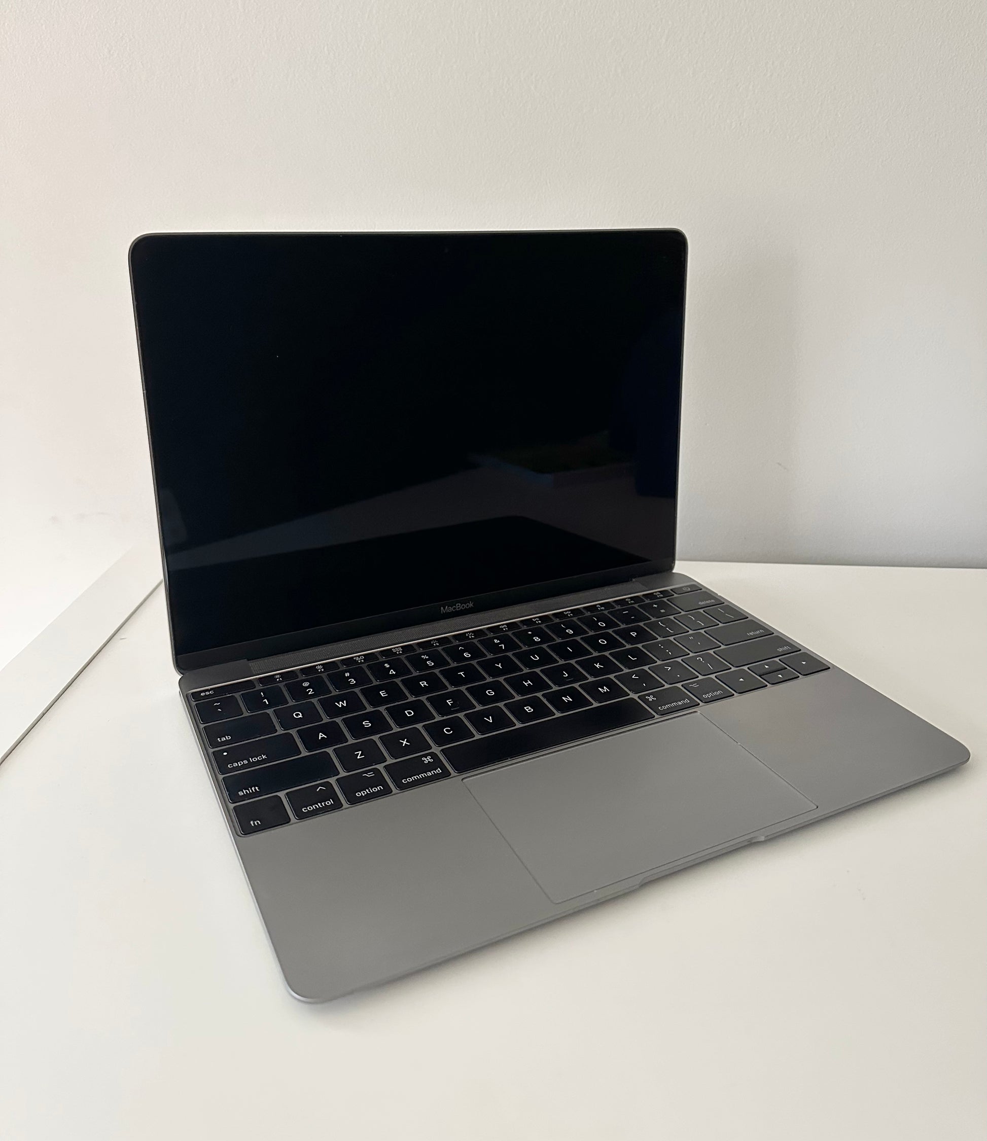 Macbook (Retina, 12-inch, 2017)